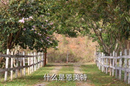 什么是恩美特