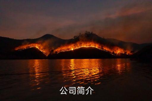 公司简介
