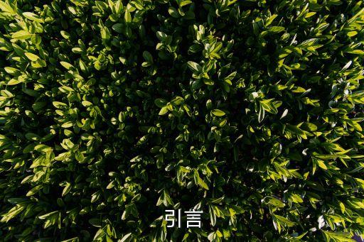 引言
