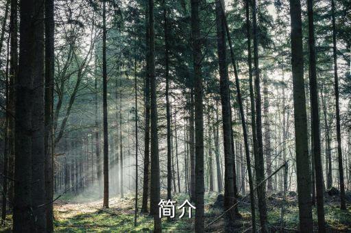 简介