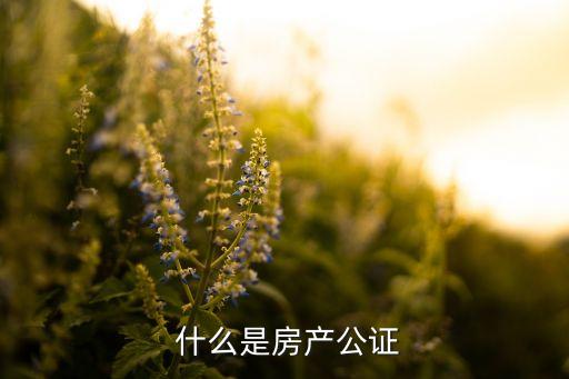 什么是房产公证