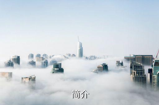 简介
