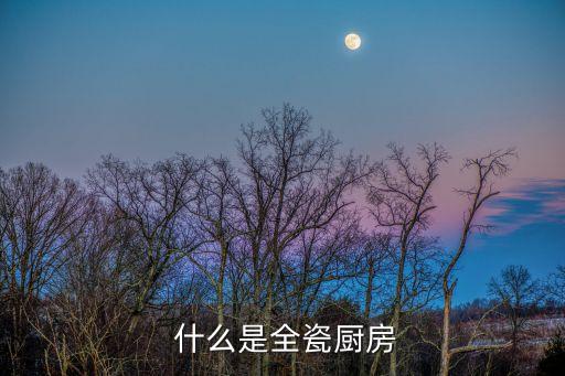 什么是全瓷厨房