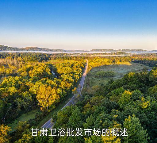 甘肃卫浴批发市场的概述