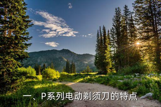 一、P系列电动剃须刀的特点
