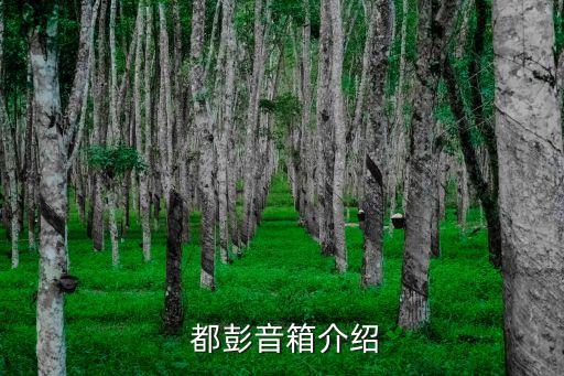 都彭音箱介绍