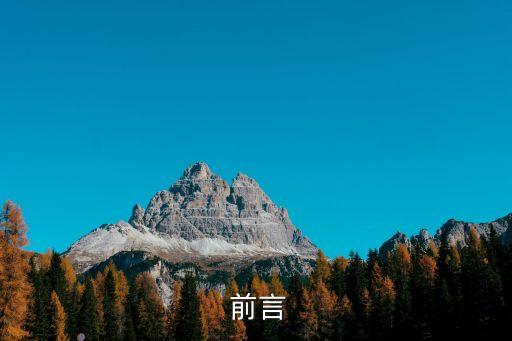 前言