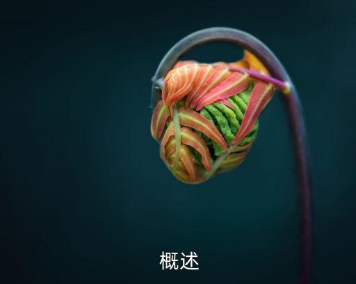概述
