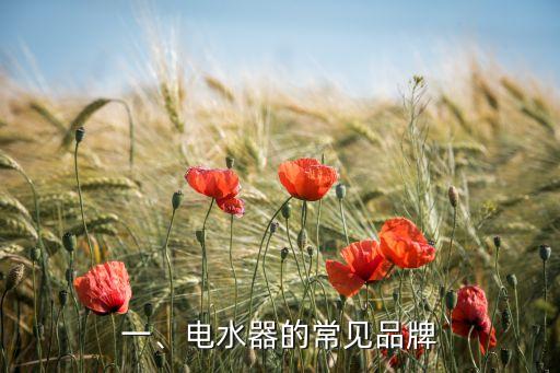 一、电水器的常见品牌