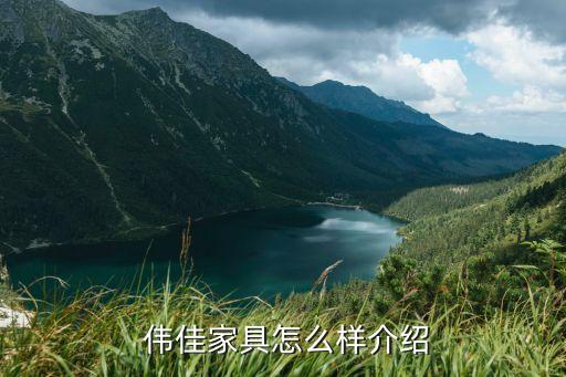 伟佳家具怎么样介绍