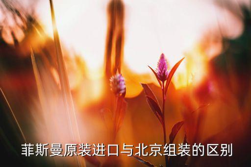 菲斯曼原装进口与北京组装的区别