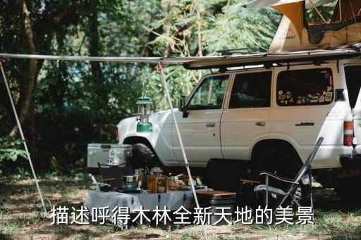 描述呼得木林全新天地的美景
