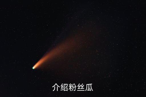 介绍粉丝瓜