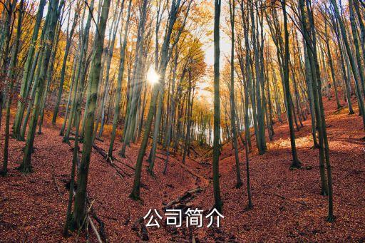 公司简介