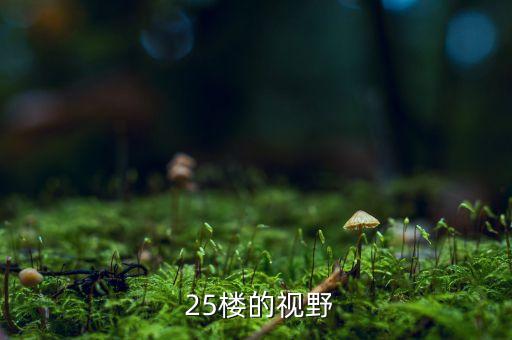 25楼的视野