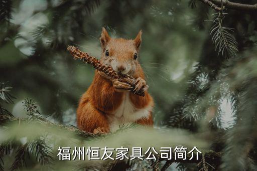 福州恒友家具公司简介