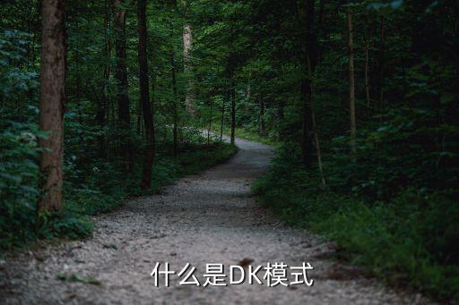 什么是DK模式