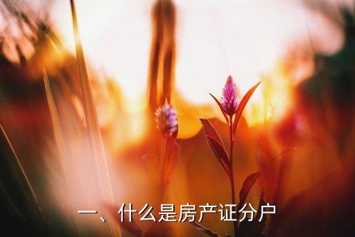 一、什么是房产证分户