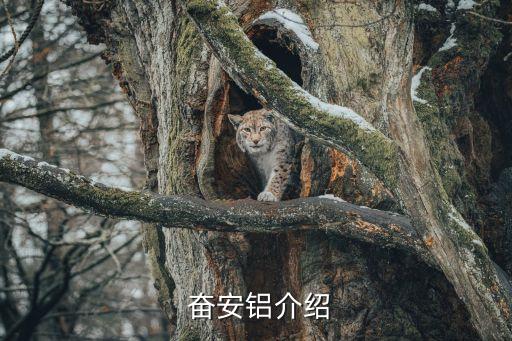 奋安铝介绍