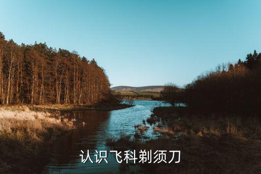 认识飞科剃须刀