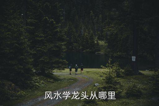 风水学龙头从哪里