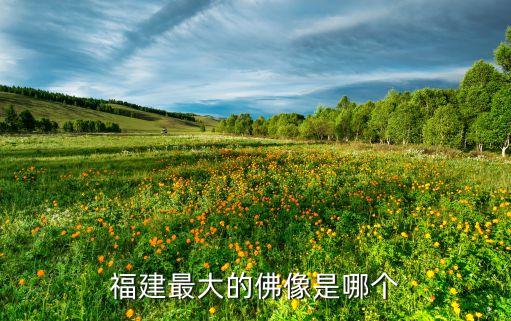 福建最大的佛像是哪个