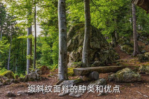 缎斜纹面料的种类和优点
