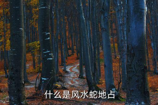 什么是风水蛇地占