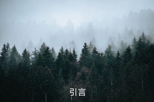 引言
