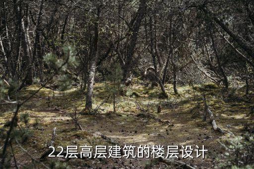 22层高层建筑的楼层设计