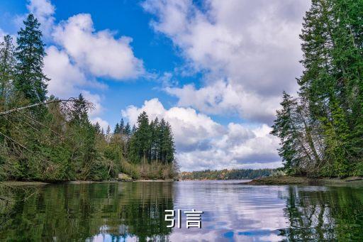 引言