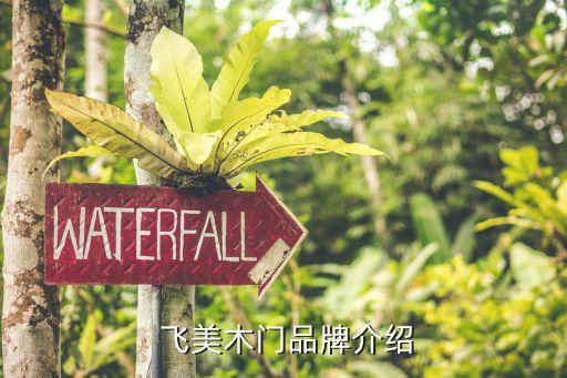 飞美木门品牌介绍