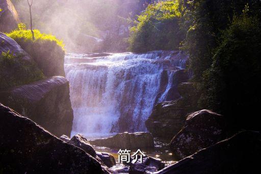 简介
