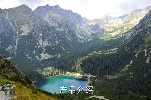产品介绍