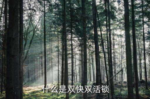 什么是双快双活锁