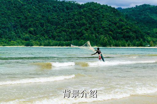背景介绍