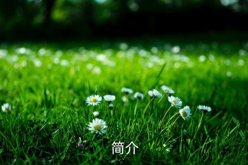 简介
