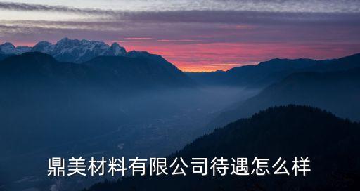 鼎美材料有限公司待遇怎么样