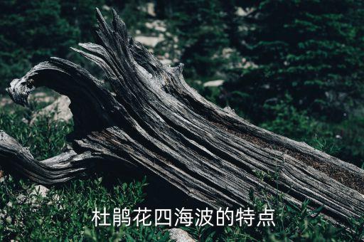 杜鹃花四海波的特点