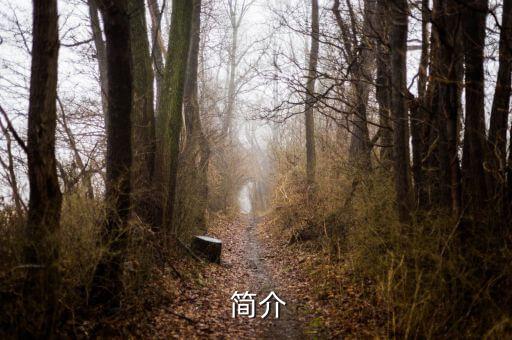 简介
