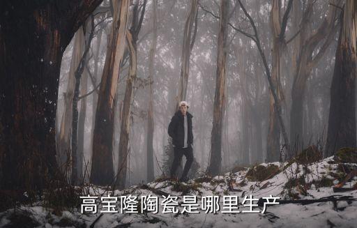 高宝隆陶瓷是哪里生产