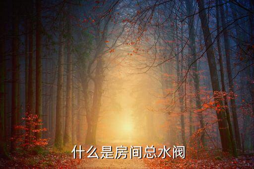 什么是房间总水阀