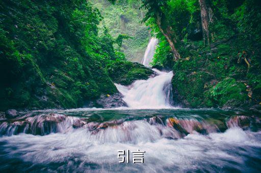 引言