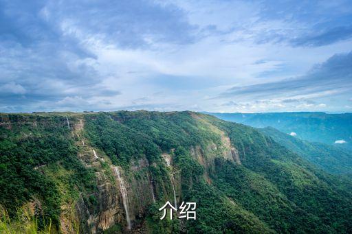 介绍