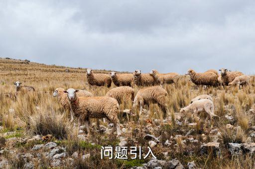 问题引入