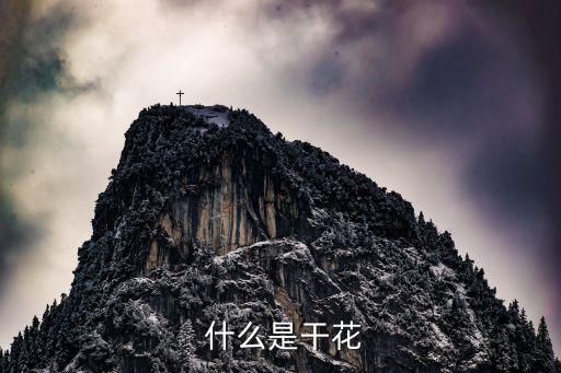 什么是干花