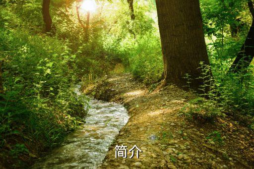 简介