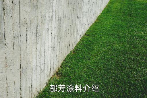 都芳涂料介绍