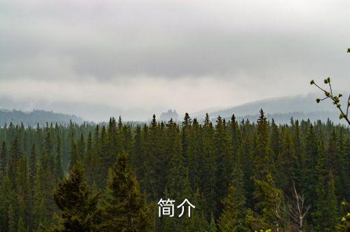 简介