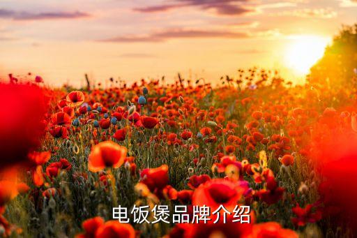 电饭煲品牌介绍